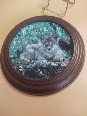 Vintage Framed 1989 Small Wonders of The Wild Collector's Plate Hideaway